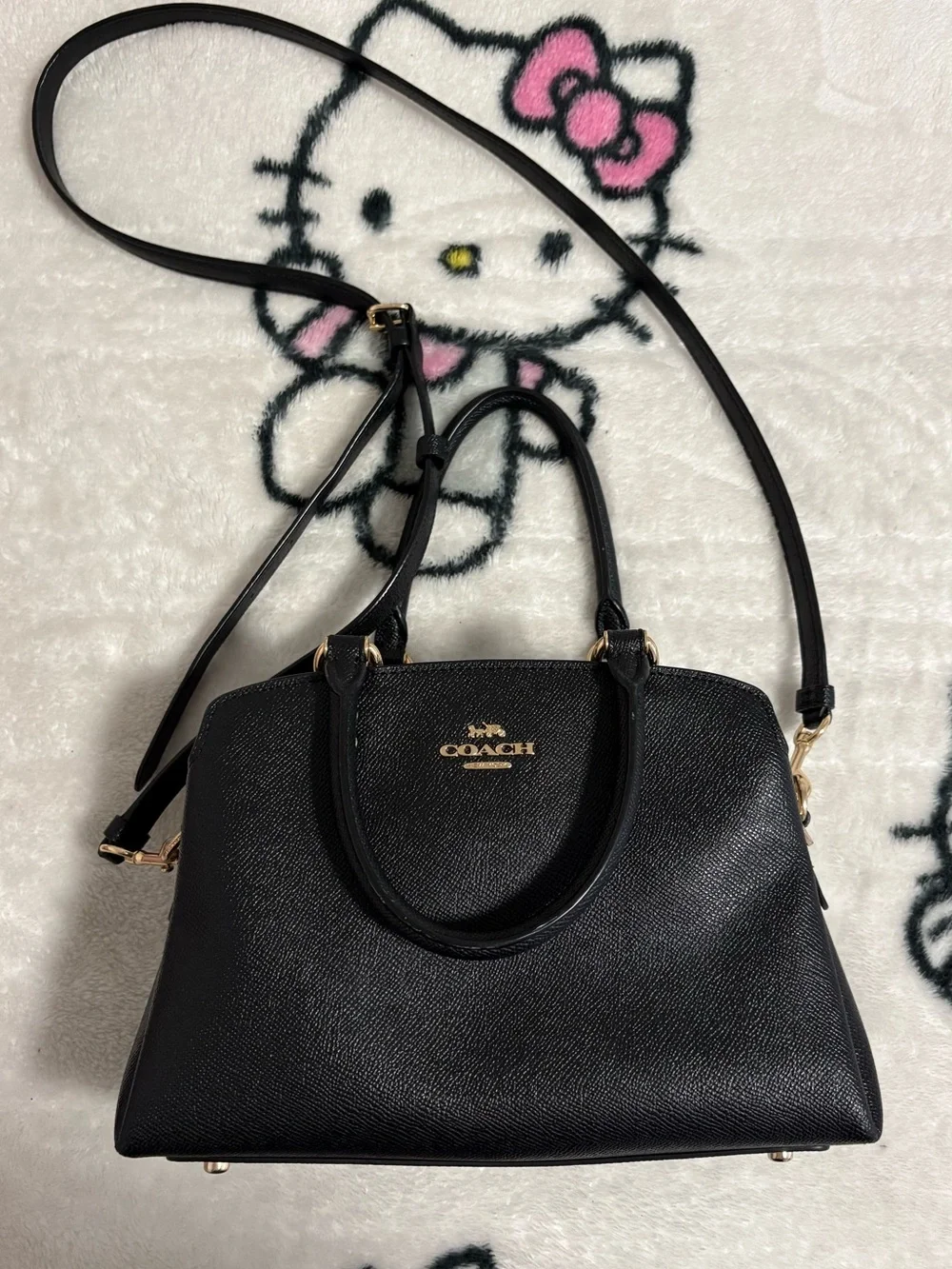 Coach mini Lillie carryall